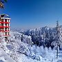 Hotel Savi Shallidrishya