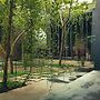 Isi Arana Eco Villa