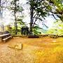 Transient House Baguio Near Minesview With Backyard