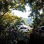 Jungle Ghar