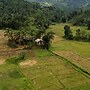 Forest & Fields Sinharaja