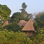 Bugoma Jungle Lodge