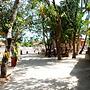 Plvillas