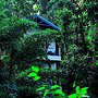 TANARYA LUXURY HOMESTAY