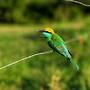 Yala Jungle Haven