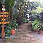 Tortuguero Adventures GuestHouse