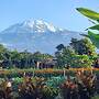 Kibo View Farm Lodge