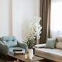 Sokon Residence Madinaity