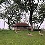 Dhansiri Eco Camp By GRB