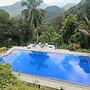 Brookside Nature Resort