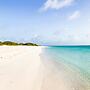 Eagle Stays Aruba