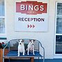 Bings Motel