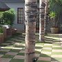 Falcon Guesthouse