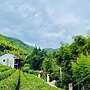 Moganshan Siyan Tea Garden Homestay