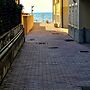 Apartment in a Building Facing the Sea-rif Florida