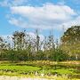 Pasture & Pond Views: Lovely Lutz Apartment
