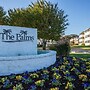 Palm Drive 36501 #1201