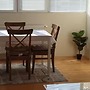 Sunny and Charming Domain for Your Stay in Sofia