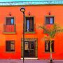 Casa del Arbol