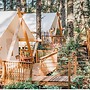 Haida Gwaii Glamping Co.
