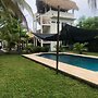 Birds House, Puerto San Jose