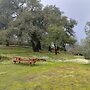 The Ranch at Lake Sonoma