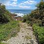 Seacoast Sanctuary