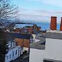 Nelson's View