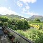 Callart View
