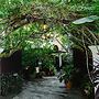 Bella Homestay