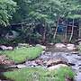 Black Bear Resort