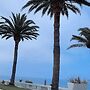 Ocean Front Baja Vacation