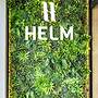 Hotel Helm