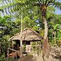 Lava View Bungalows