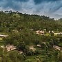 Amaya Kasauli