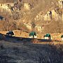 OKON Highlands Cottages & Camp