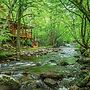 Elk Rapids On Cosby Creek 3 Bedroom Cabin