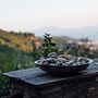 Secluded Cottage Guesthouse in the Mountains