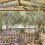 Hike, Explore & More: Ranch Retreat in Escondido!