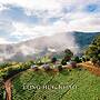 Long hug khao homestay