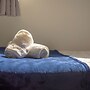 Cozy Garden Studio in St Albans