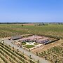 8 Mi to Lodi Lake: Luxe Home w/ On-site Vineyard