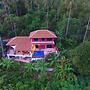 PINK HOUSE