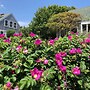 Sea Breeze Inn