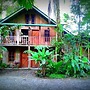 La Gamba Rainforest Lodge