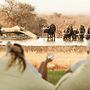 Last Word Madikwe