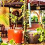 Angkor Une Fois Home Stay