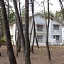 Seagaia Forest Cottages
