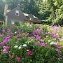 Contented Cottage Bed and Breakfast