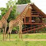 Pezulu Tree House Lodge